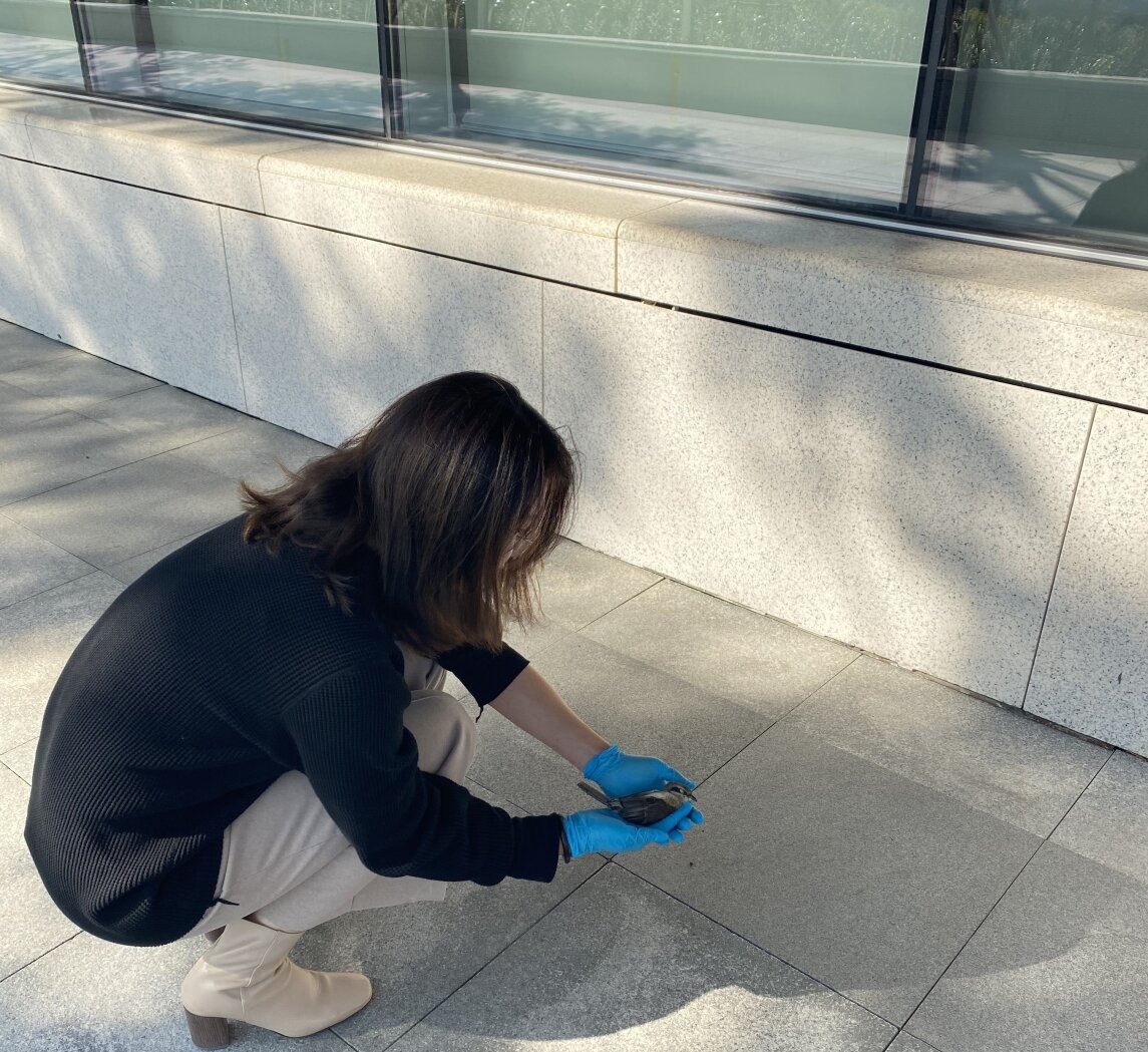 �о������������ݶ��ڼ�������������ײ��������������Ҫ