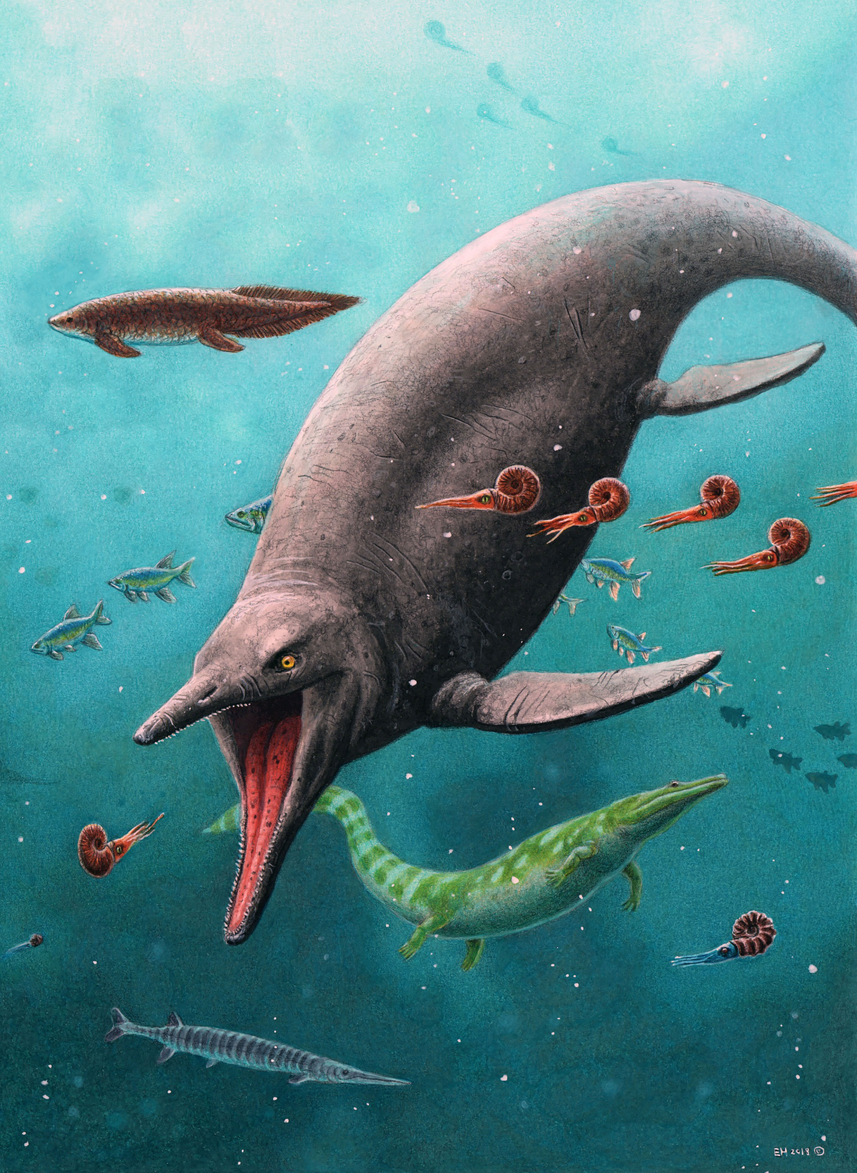北极斯匹次卑尔根岛发现已知最古老的海洋爬行动物鱼龙化石遗骸