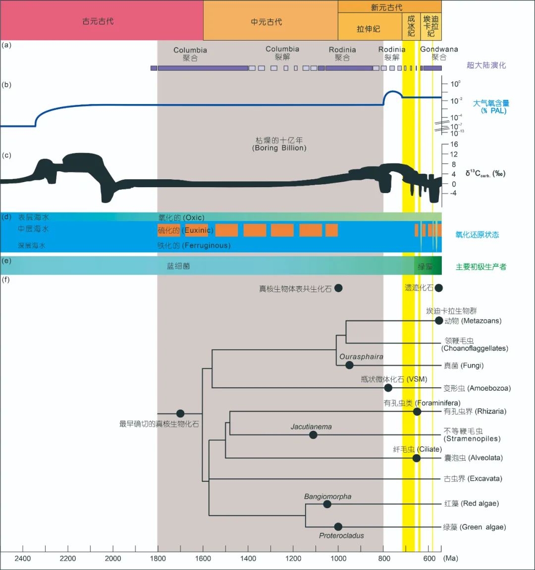 《科学通报》杂志：“高等生命”的祖先在十多亿年前就已经出现