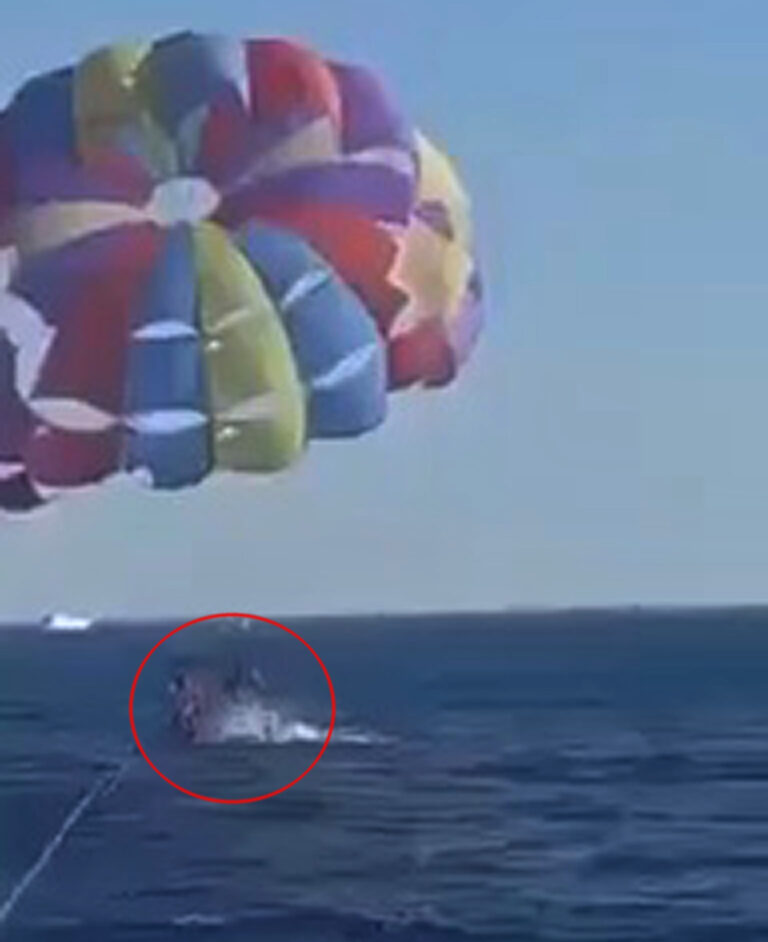 约旦男子在红海玩海上拖曳伞 鲨鱼冲出水面咬住他的脚