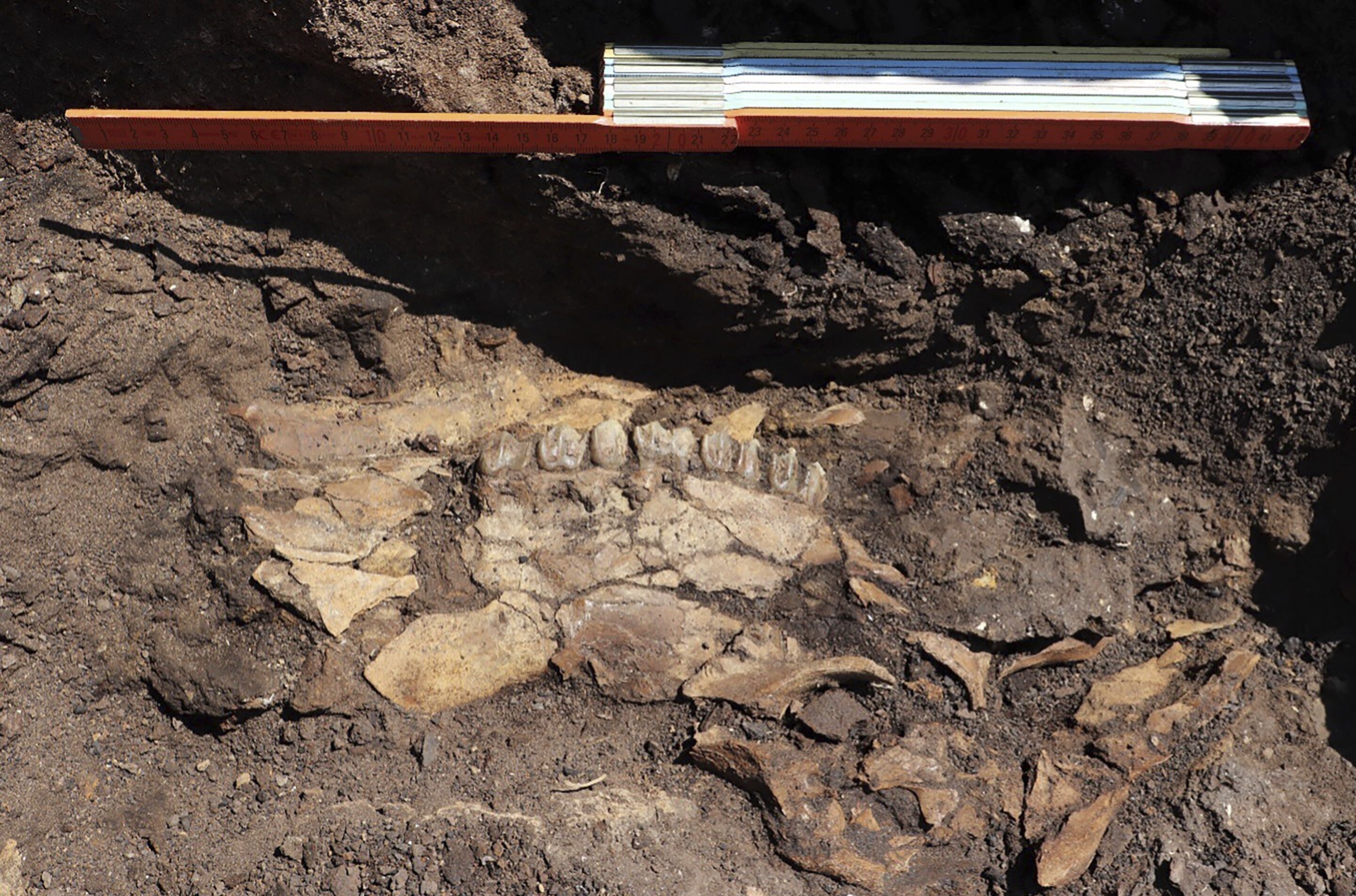 希腊南部露天煤矿发现70万年前的石器遗址