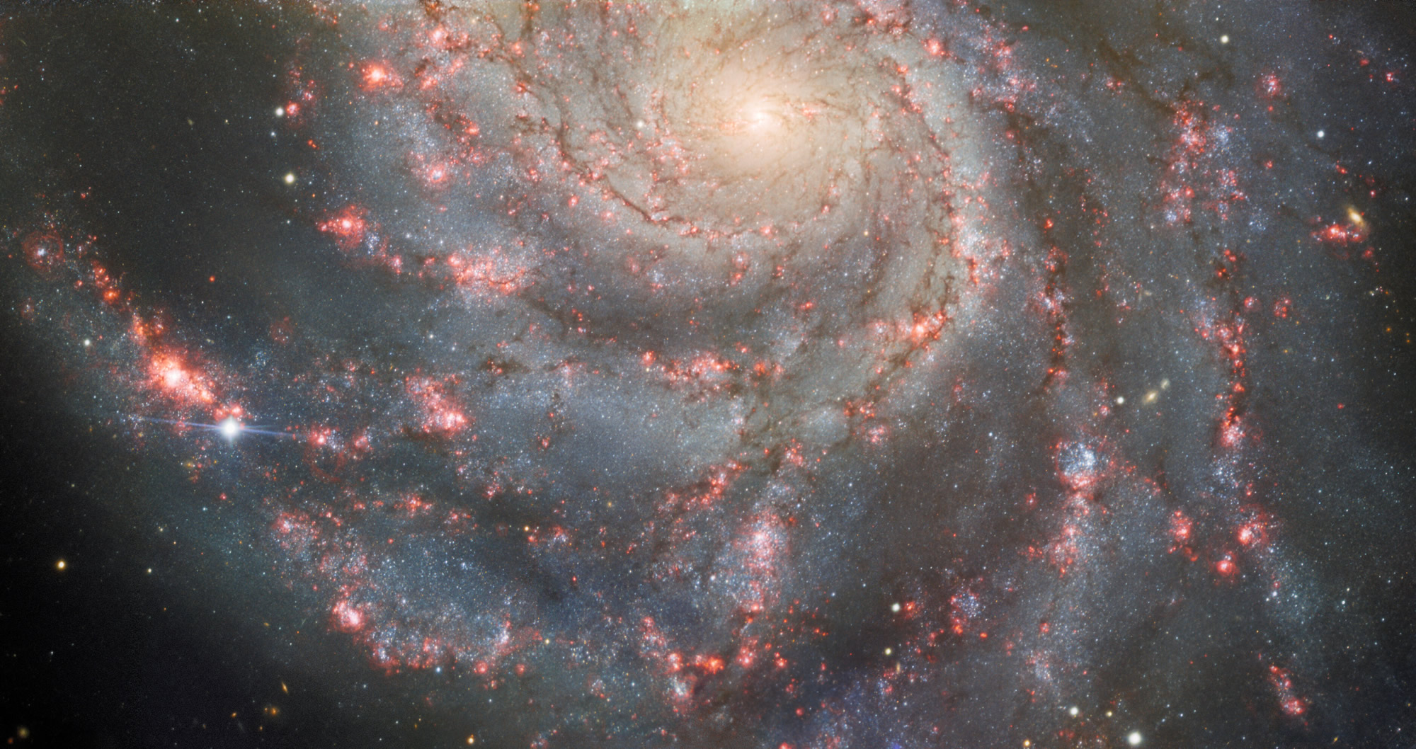 新的超新星SN 2023ixf在风车星系Messier 101照片中闪耀