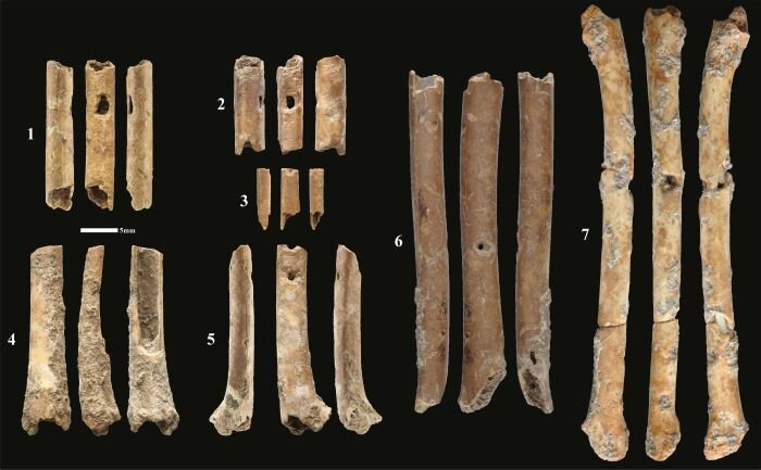 研究人员在以色列北部发现12000多年前由鸟类骨骼制成的笛子