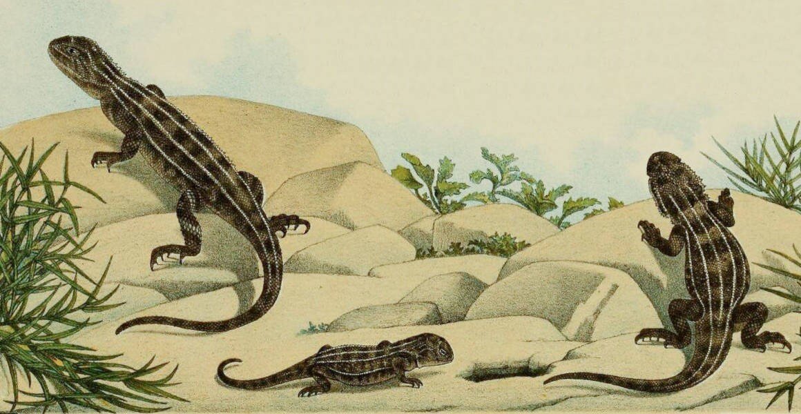 �Ĵ�����ά�����ǲ�ԭ�޶���������־�����·���