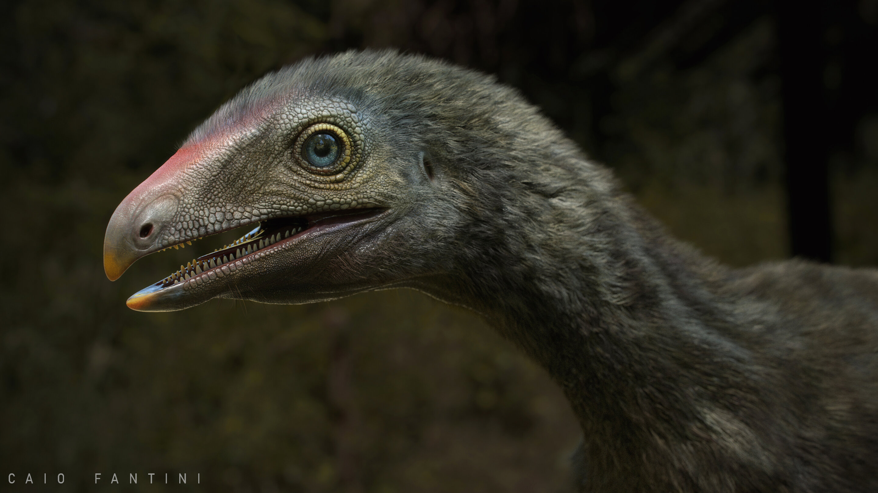 2.3ǰữʯVenetoraptor gassenae Ϊǰ