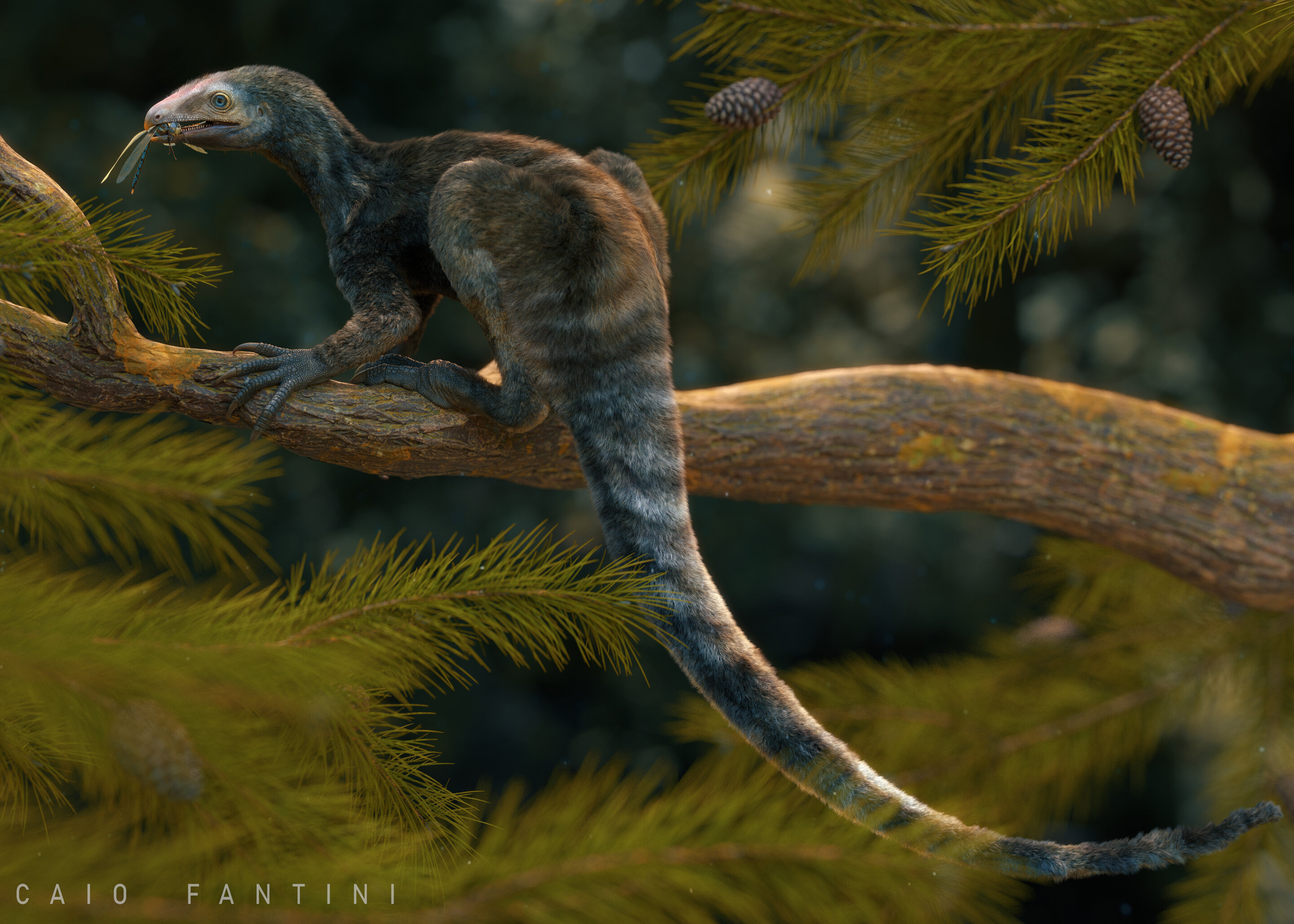 2.3ǰữʯVenetoraptor gassenae Ϊǰ