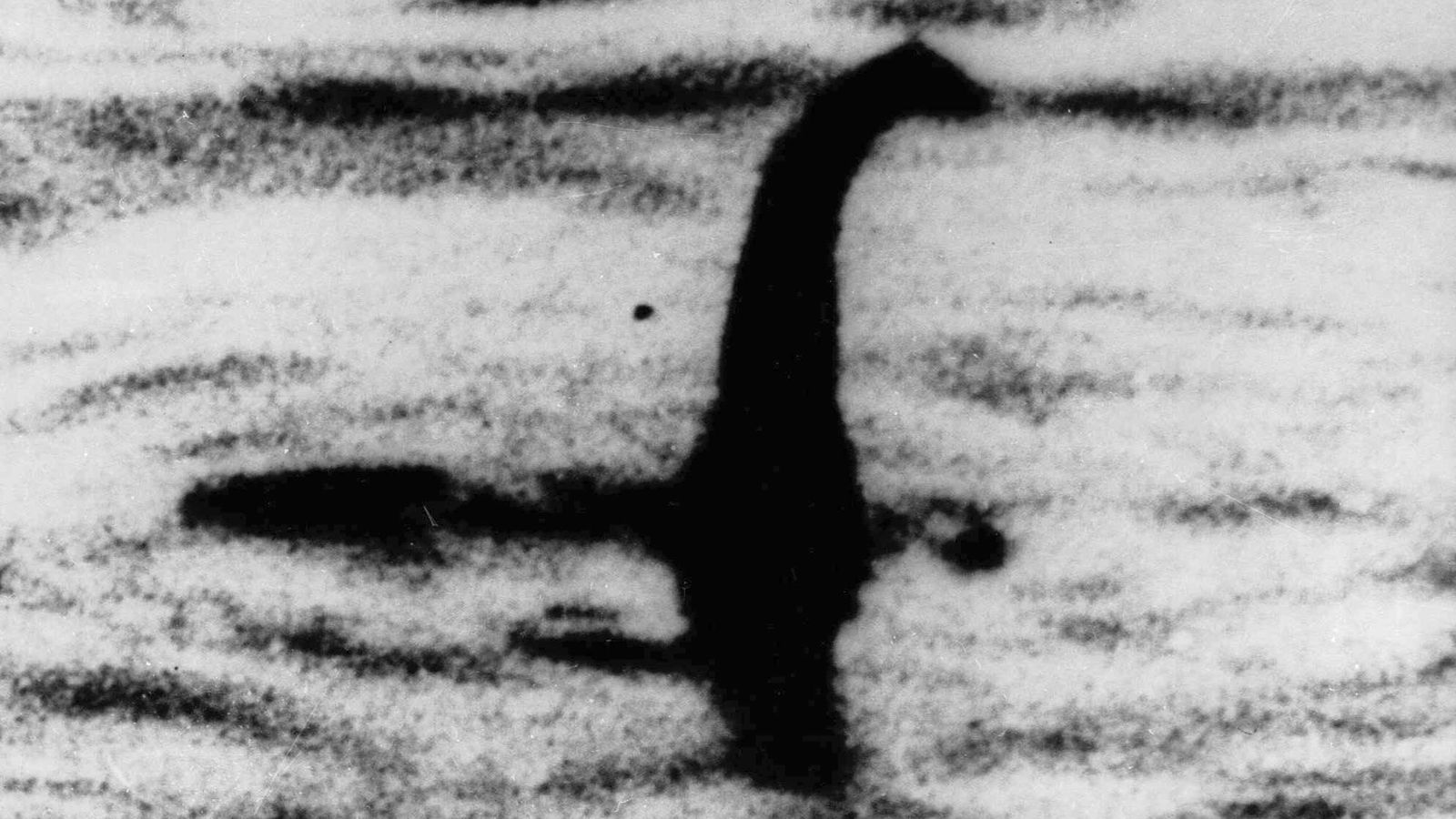 尼斯湖水怪再现？英国夫妇在尼斯湖拍到大型神秘动物，视频极清晰 - 知乎