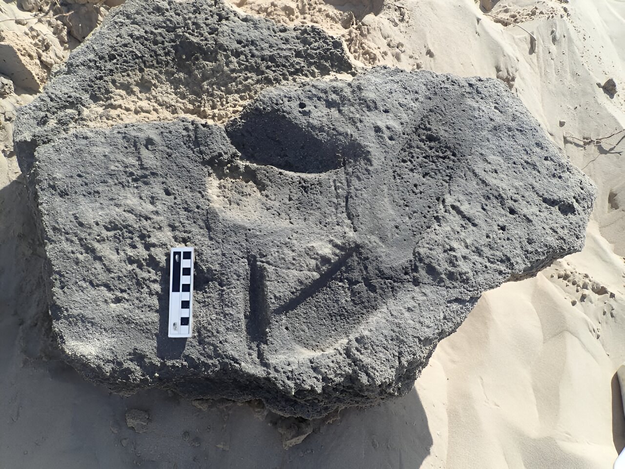 南非开普海岸发现中石器时代人字拖的最早证据