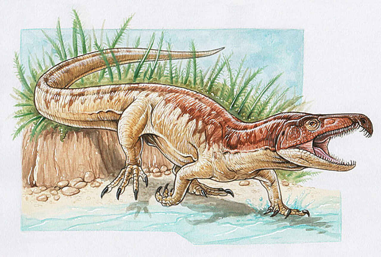 在印度发现2.5亿年前的新古鳄类物种