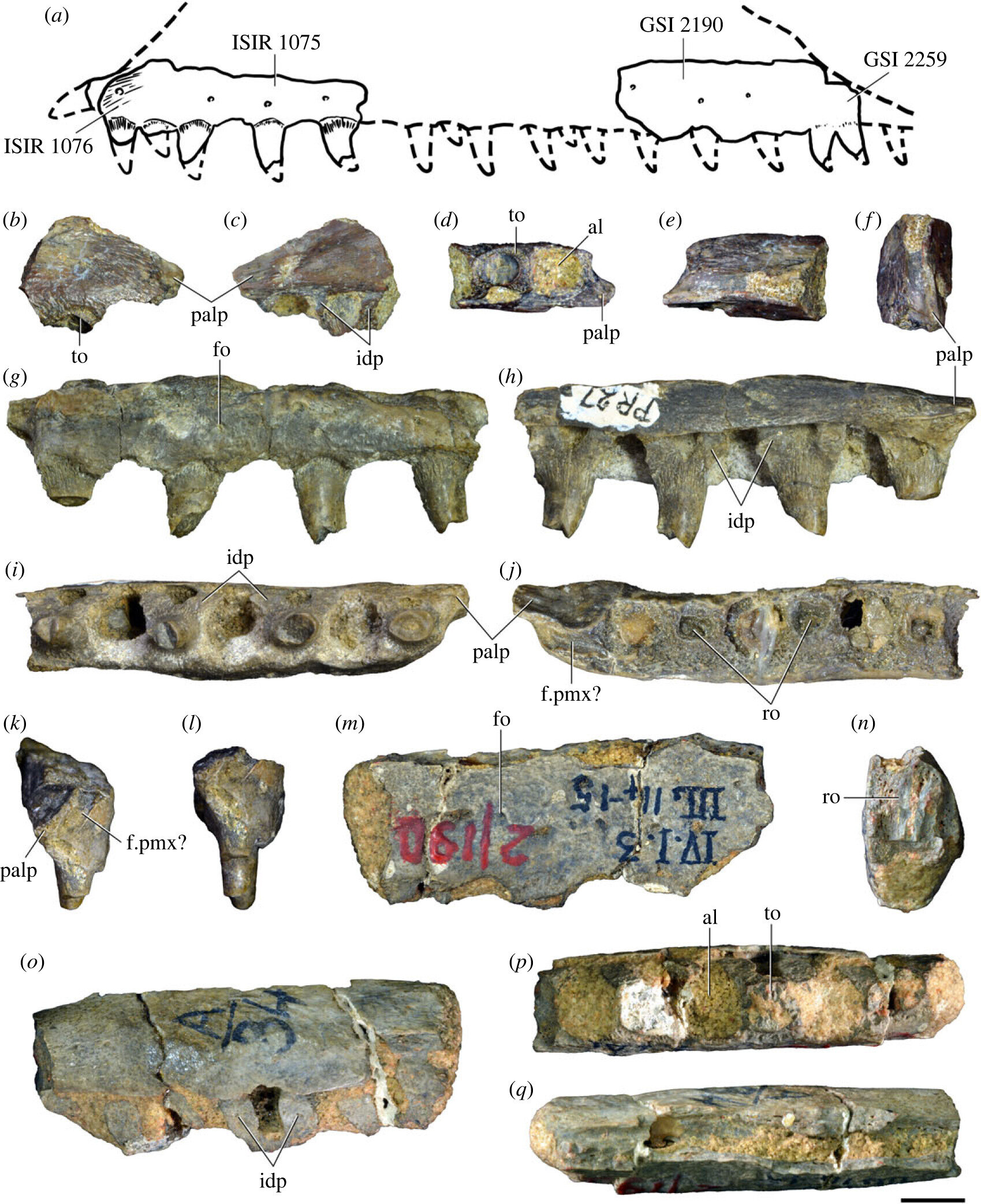 ��ӡ�ȷ���2.5����ǰ���¹���������