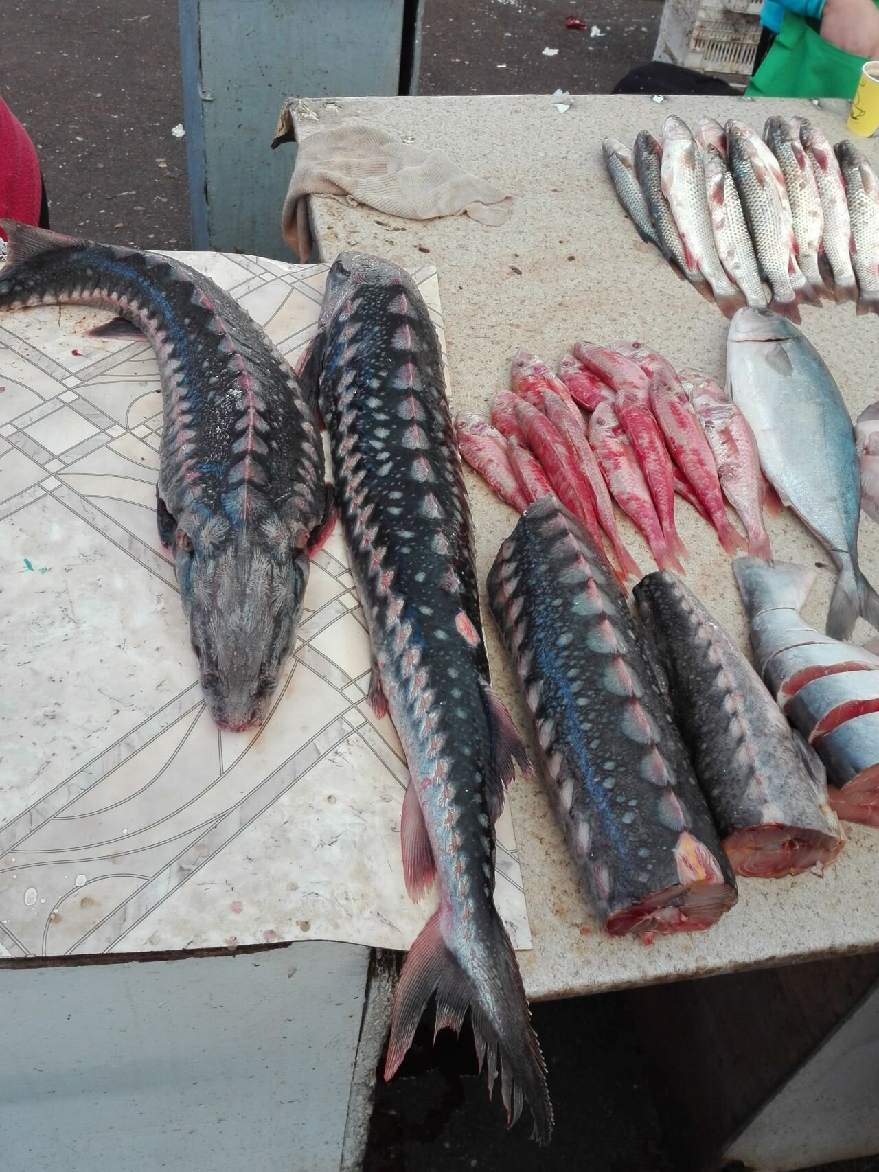 �о���������ŷ�޵��ܼ����ӽ���Ʒ��һ���ǷǷ��ģ���Щ�����������ӽ�