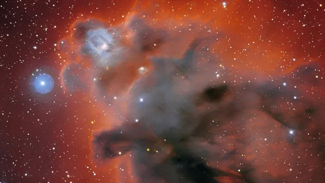 外来的外星生命是如何在外太空的巨大分子云中茁壮成长的