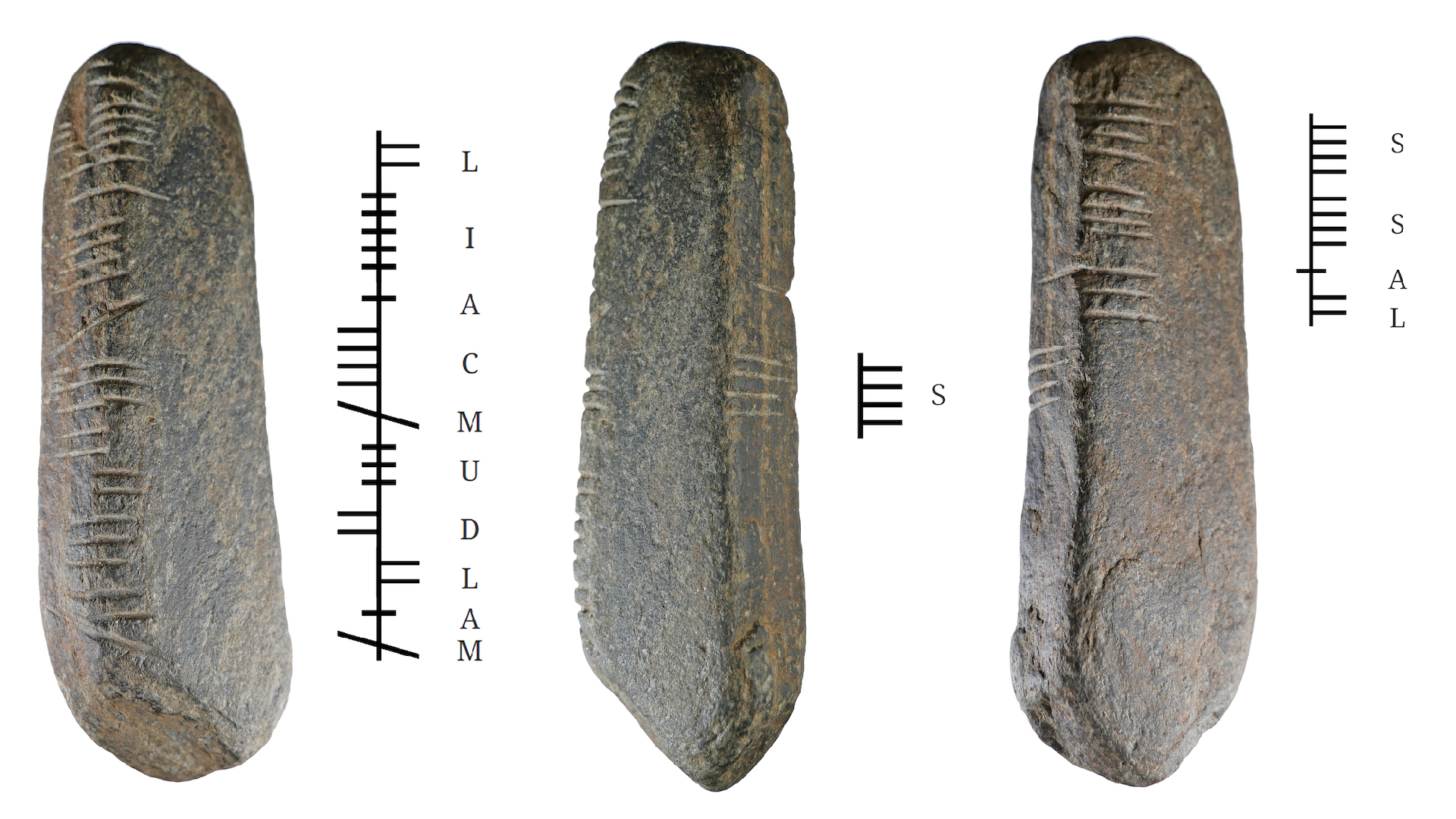 英国花园中发现1600年前爱尔兰铭文的石头