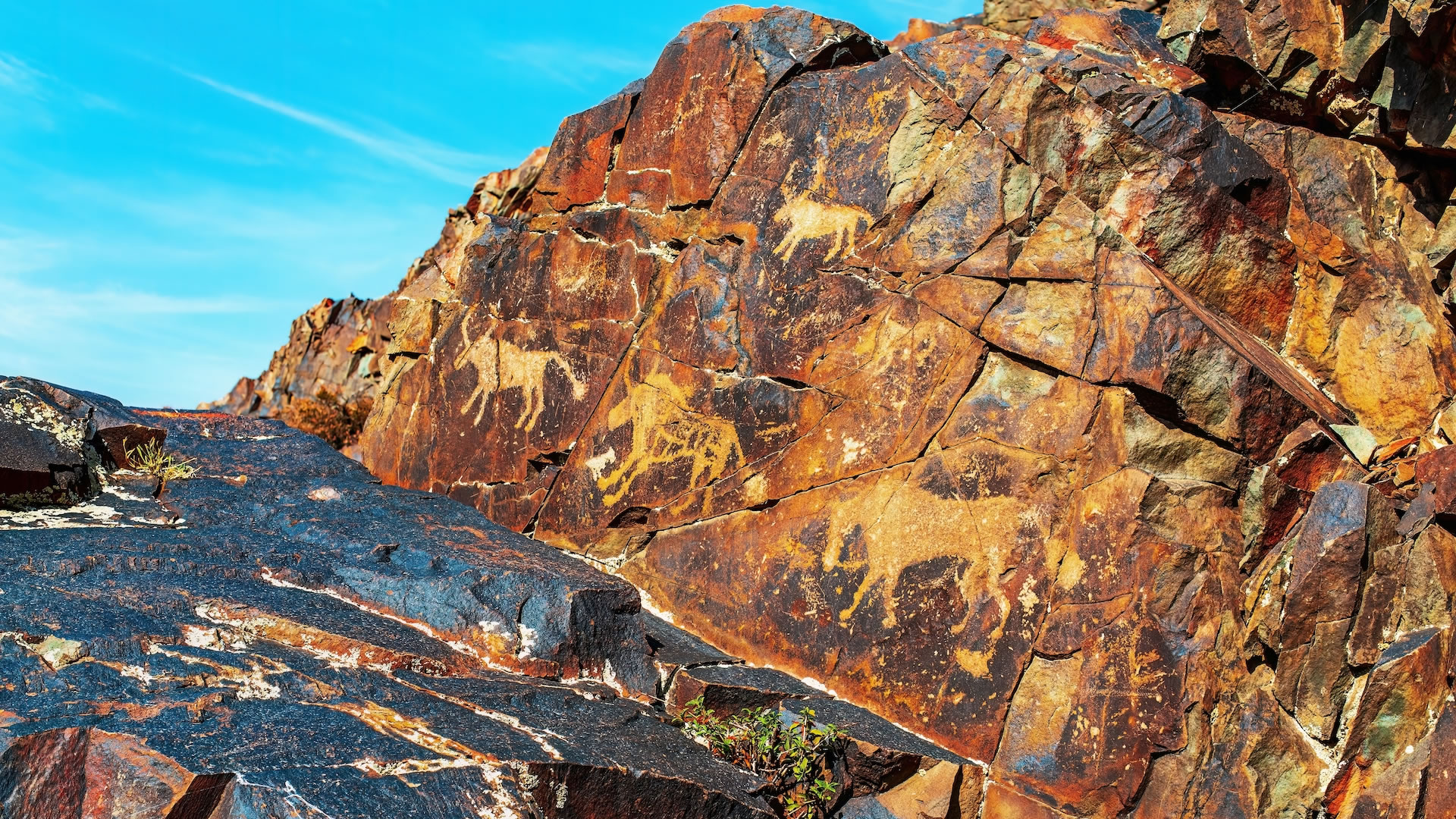 ������˹̹����3500��ǰ��Ұ�������˫�������һ�