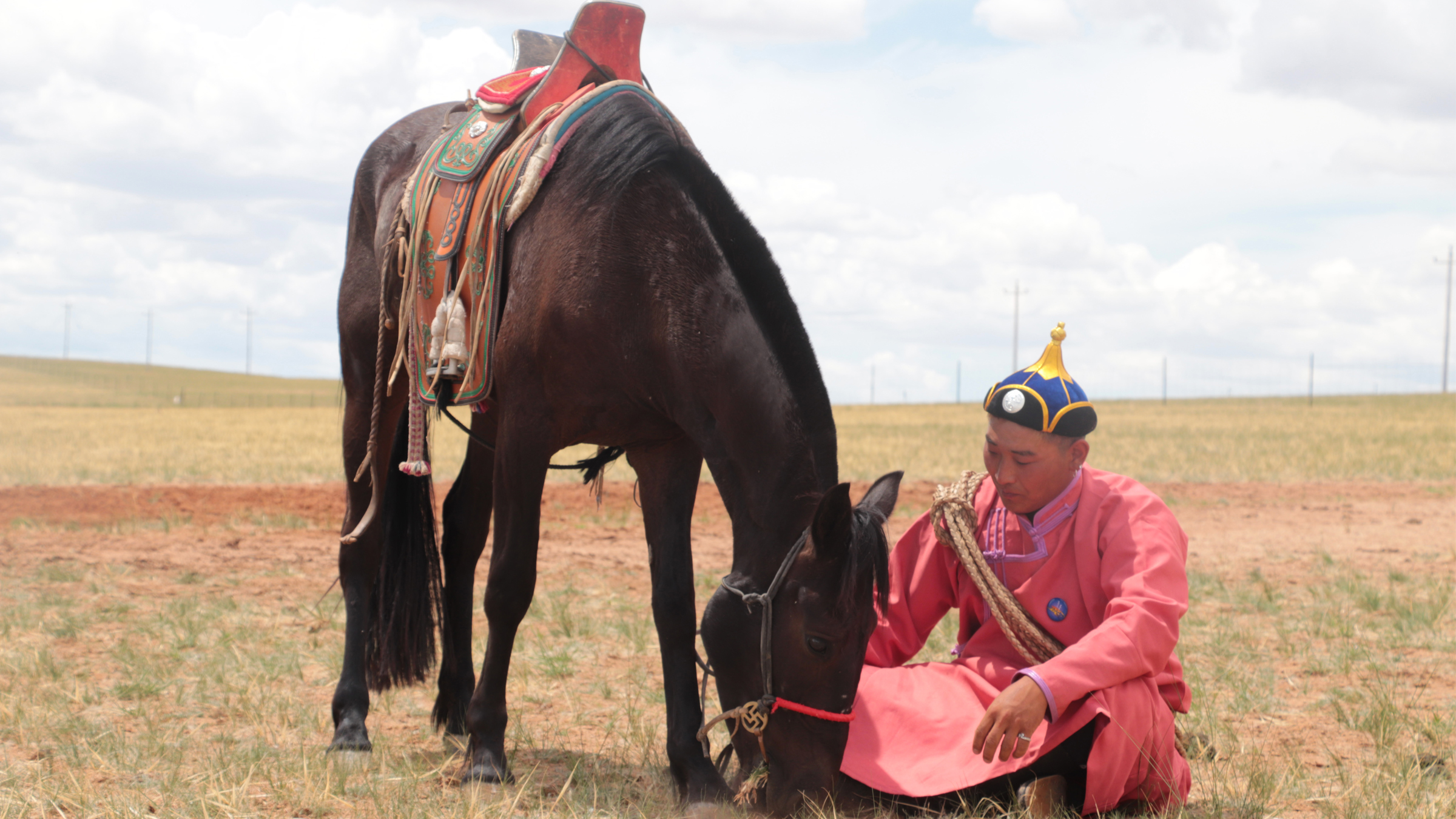 人类直到4200年前才驯养马,比我们之前认为的晚了1000年