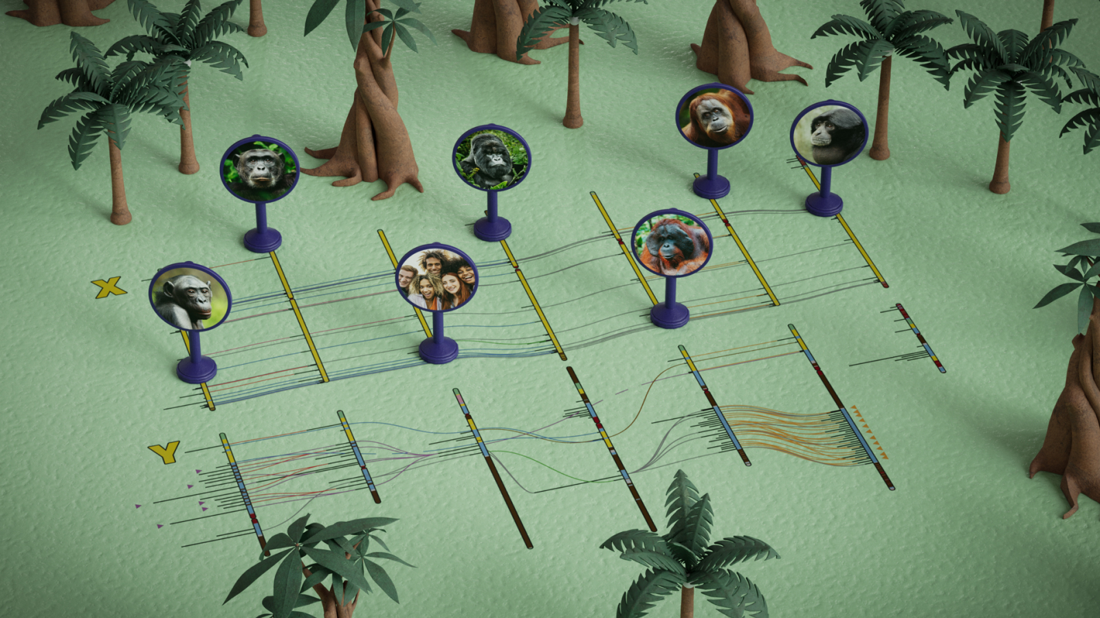 �鳤�ද���о���ʾ��YȾɫ��Ľ����ٶȱ�XȾɫ���