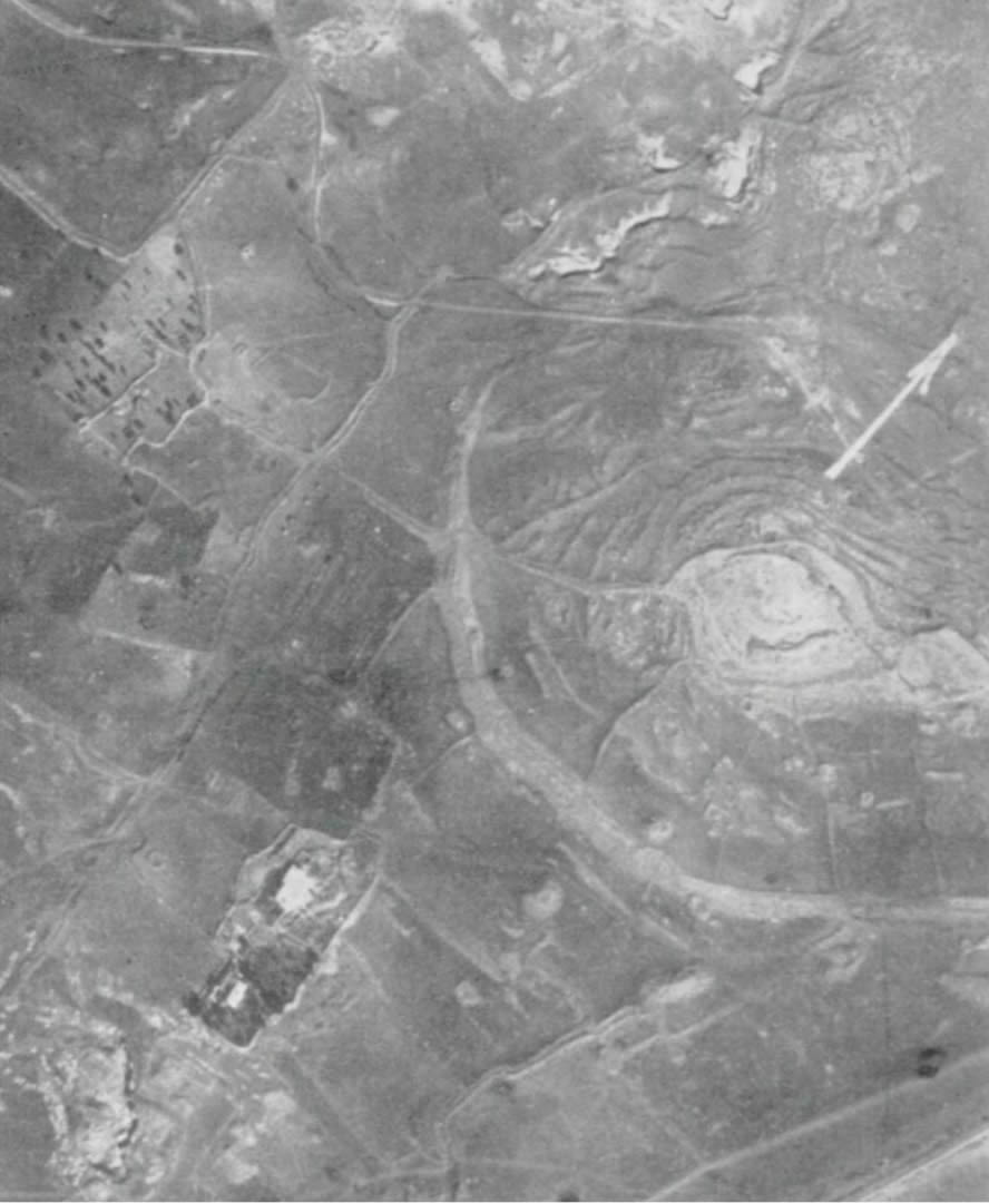 ��ѧ�ҳƣ������ϵ۵���ʹ���ݻٵľ�Υ��������Ӫ�����ҵ���