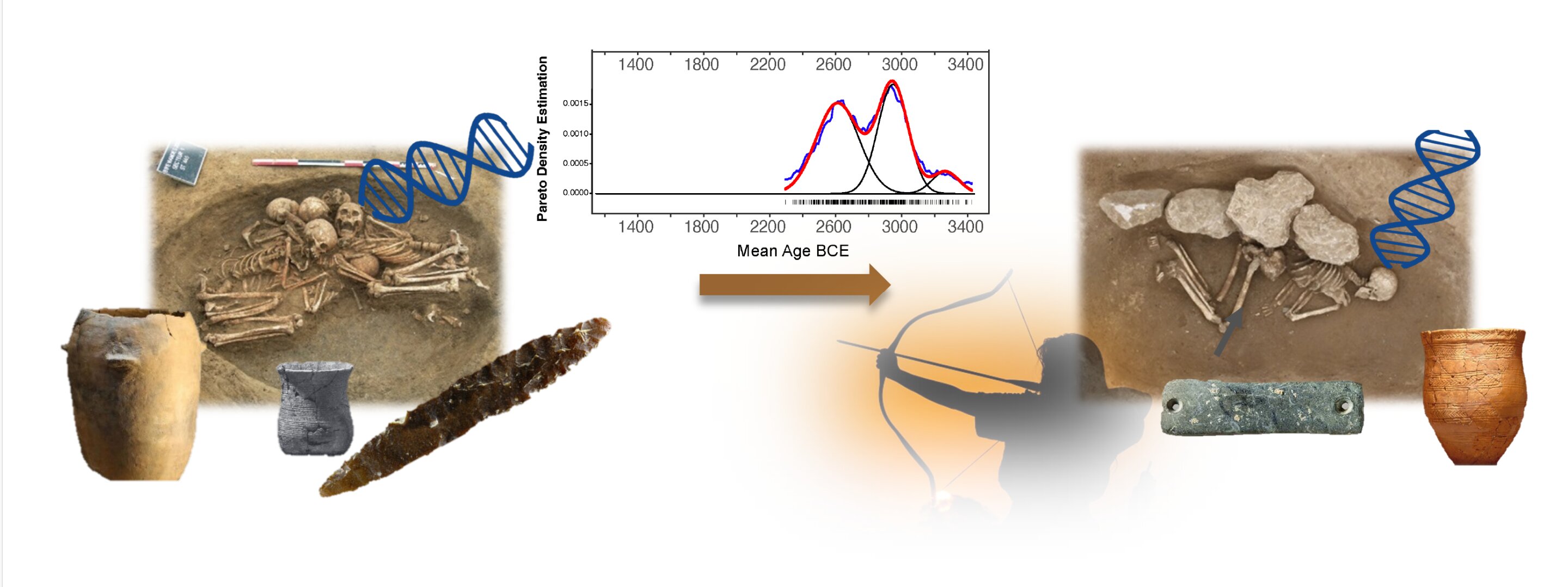 法国的墓地提供了草原移民与新石器时代晚期欧洲人融合的证据