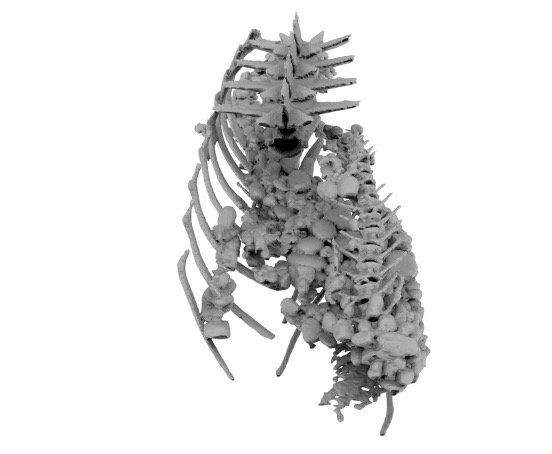 �Ű����������������һ�ͳ���