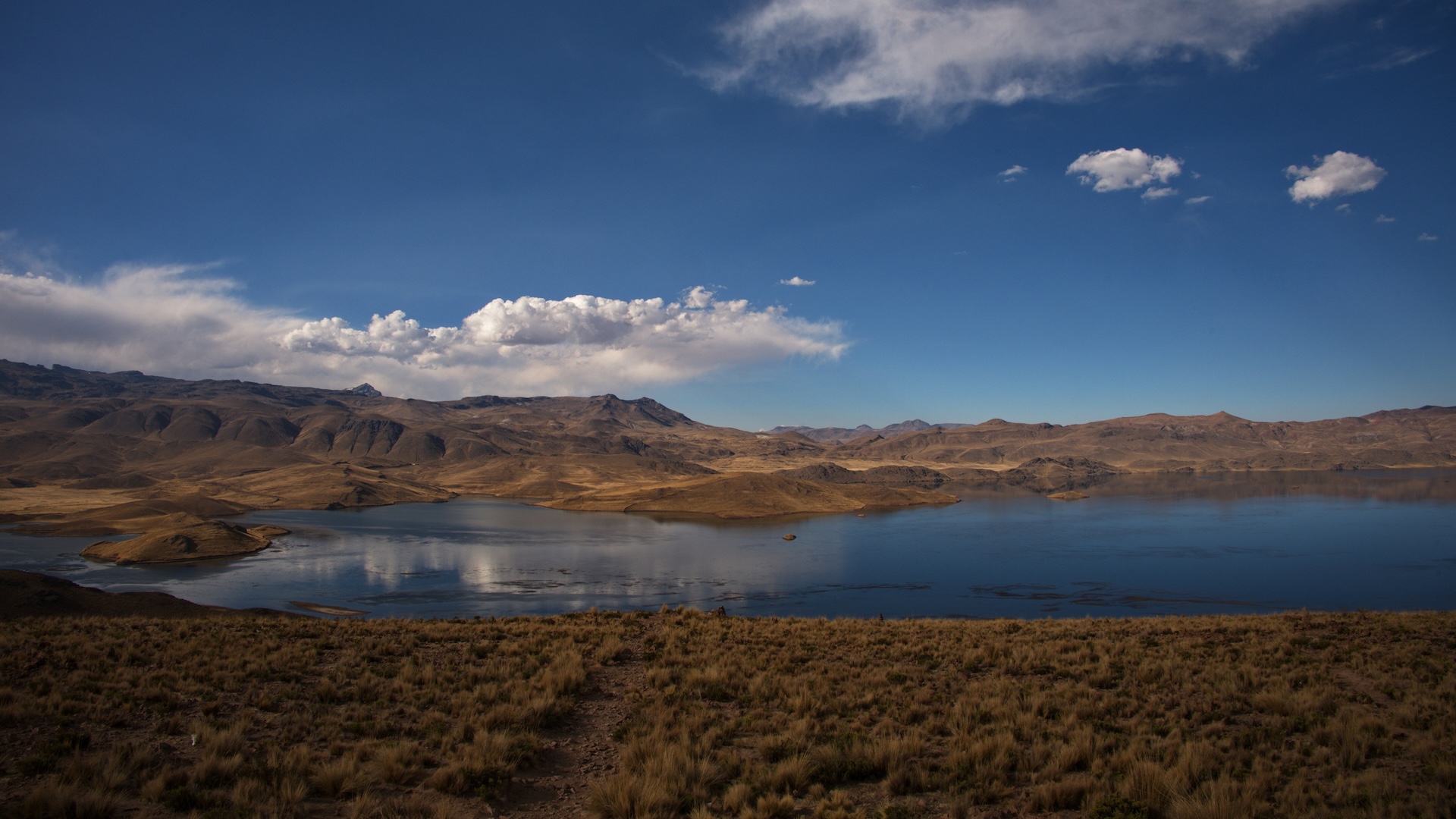 新的建模研究表明,安第斯地区在过去2400万年中分4个阶段形成