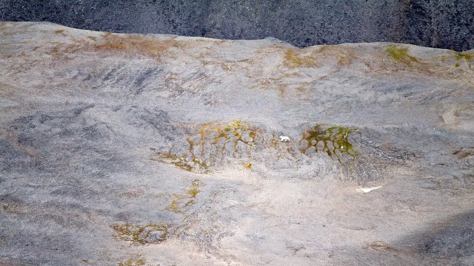 �����������ö����еļ��顰�������γɿ����緢�����ѣ��γɾ޴����ʯ��