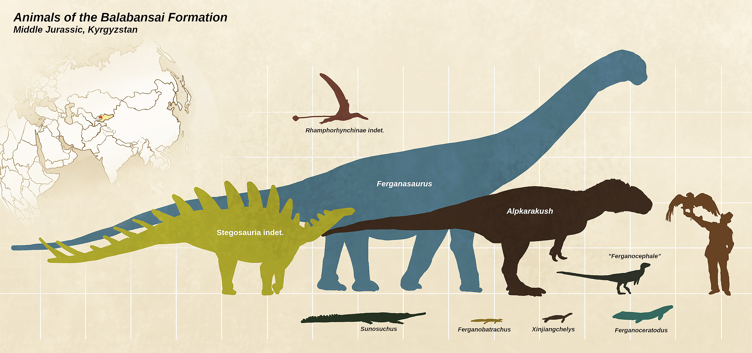 具有独特“眉毛”的新型食肉恐龙Alpkarakush kyrgyzicus