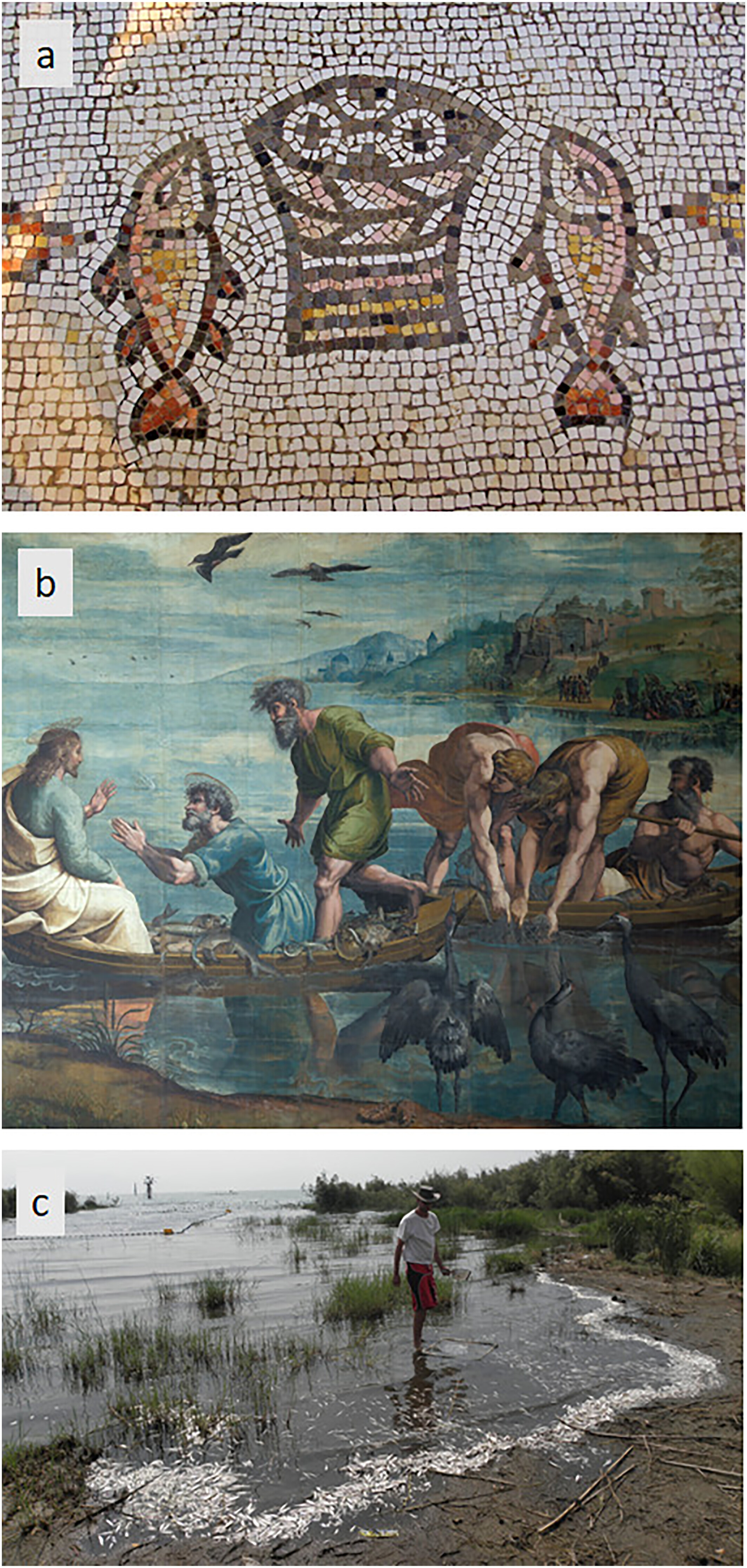 оҮա漣ز㡱ĽͿܲô