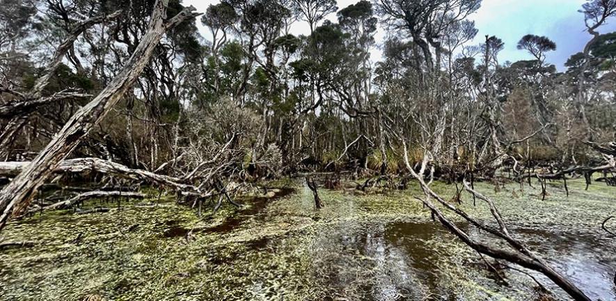 �о���ʾ�������û�������˹�����Ǿ��۵�����֤��