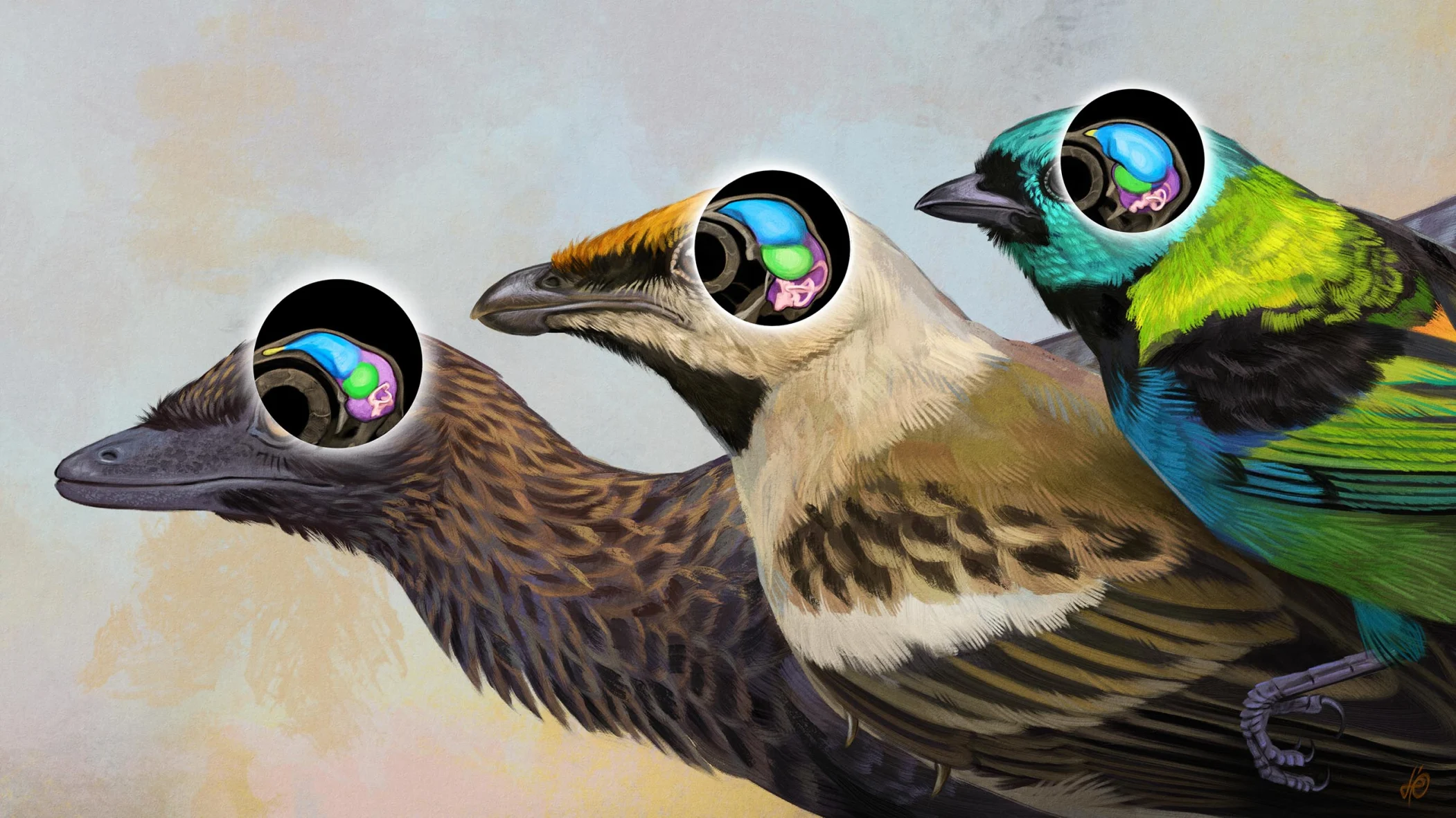 ����ʱ����������Խ�ʾ���������ܵĸ�Դ