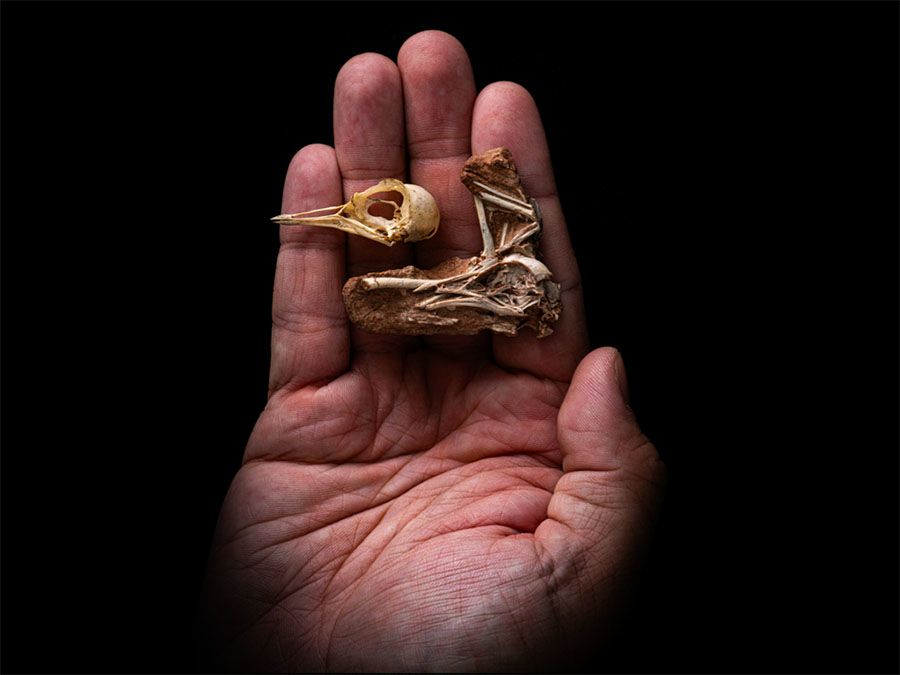 ����ʱ����������Խ�ʾ���������ܵĸ�Դ