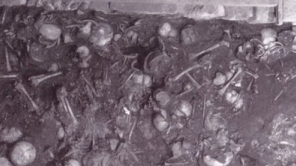 15īĴģͯǰͽԸɺľ