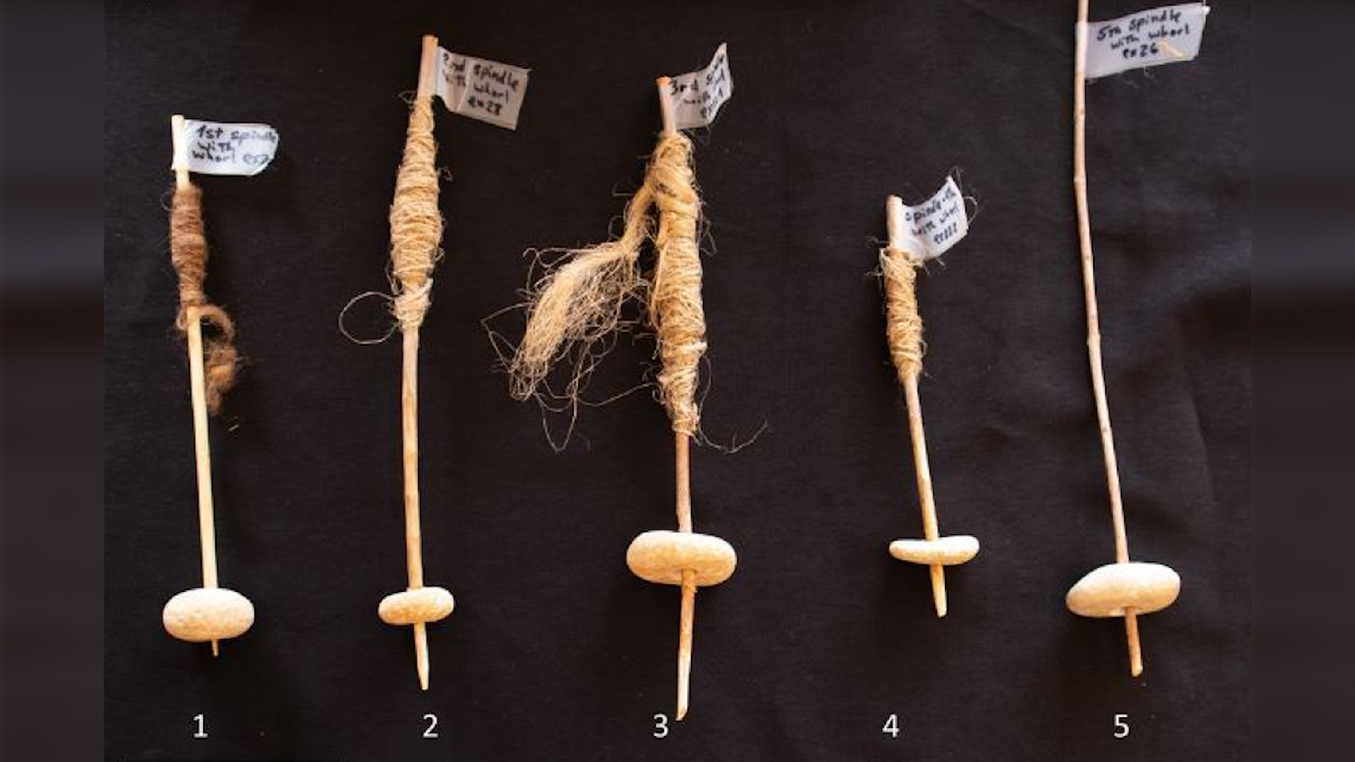 ��ɫ�п���ѧ��ȷ��12000��ǰ������Ȧ��״�Ķ���ʯ���������ӵ�����֤��