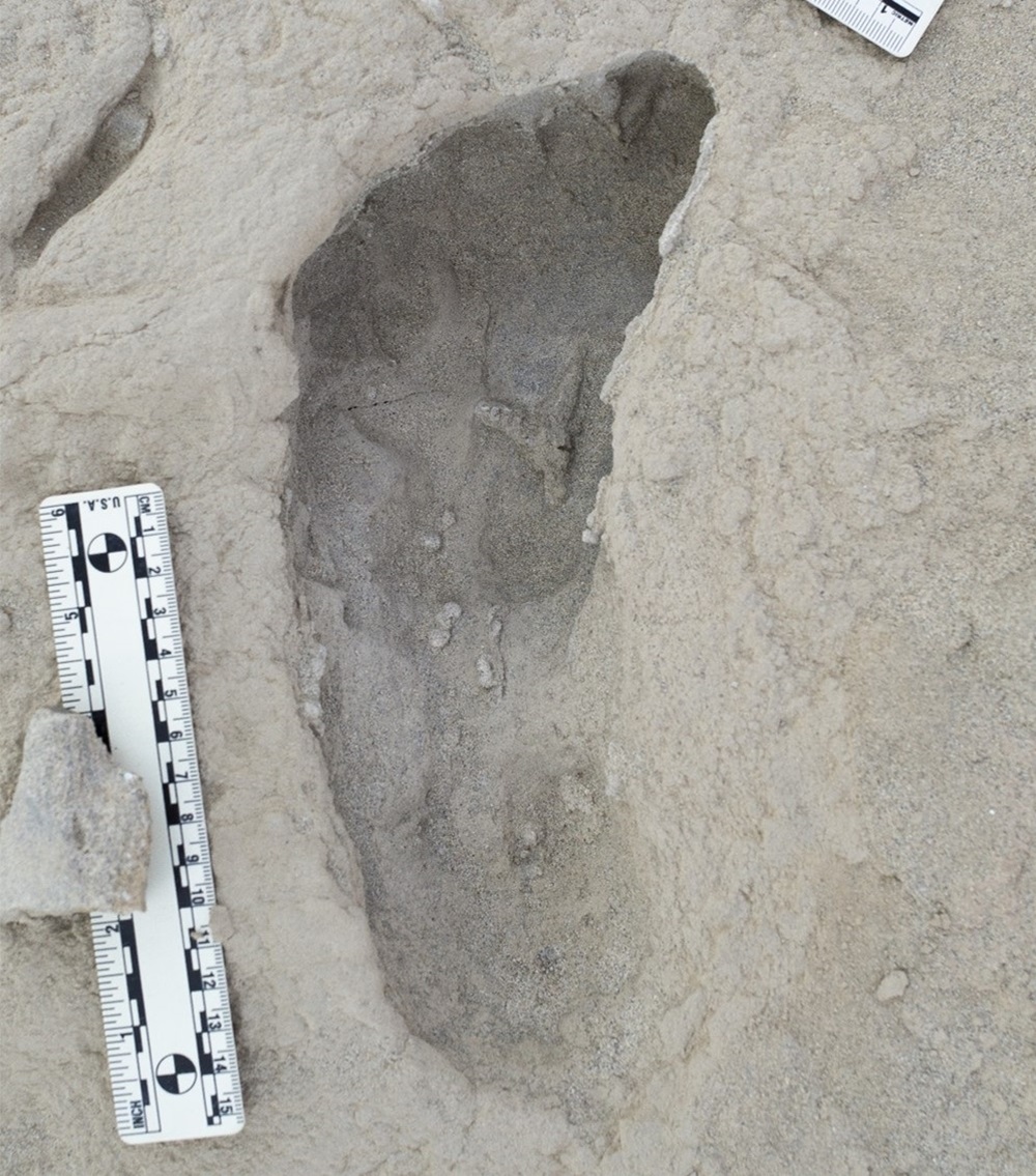 化石足迹揭示:150万年前,两个早期人类亲属生活在同一地区