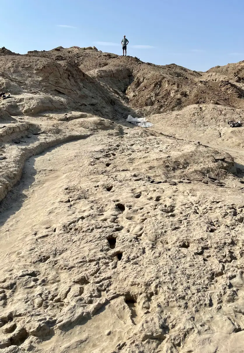 化石足迹揭示:150万年前,两个早期人类亲属生活在同一地区