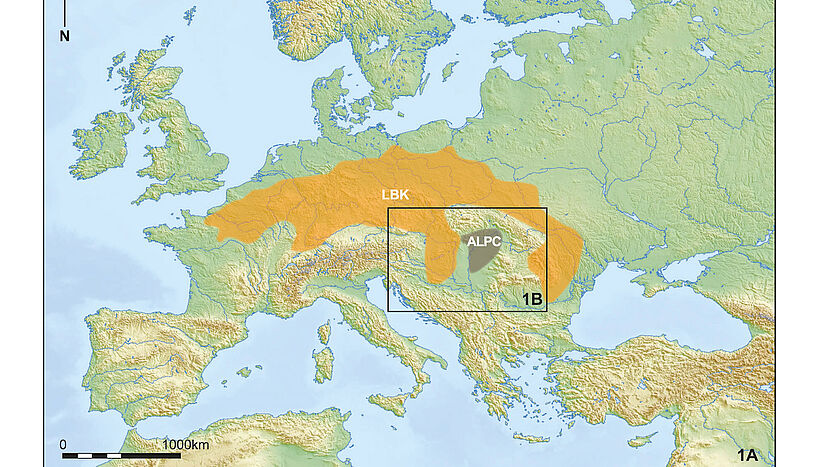 ��ʯ��ʱ�����ڵĻ������ݱ�������ŷ�ĵ�һ��ũ��������ƽ��֮��