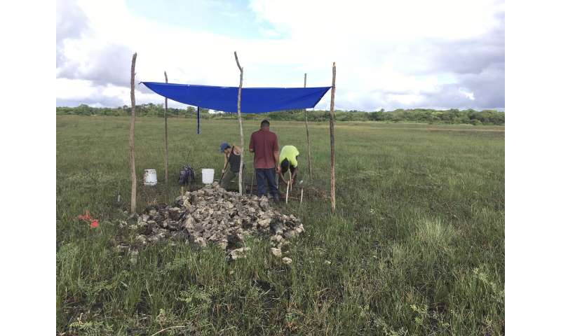 ����ѧ�ҷ�����4000��ǰ������������������˺�