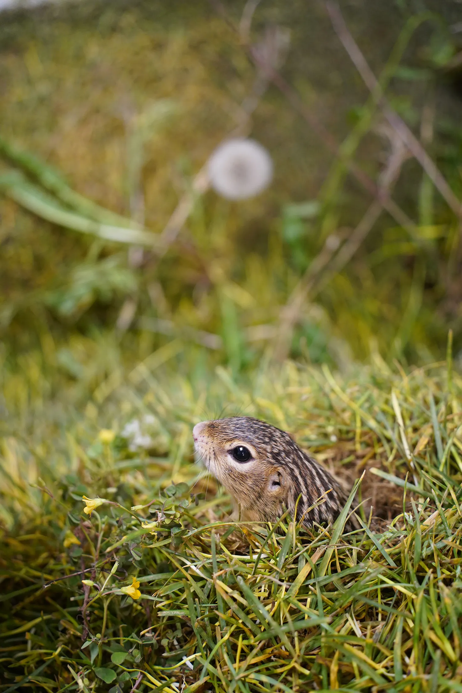 ���ߵ������������������û��ˮ������²���