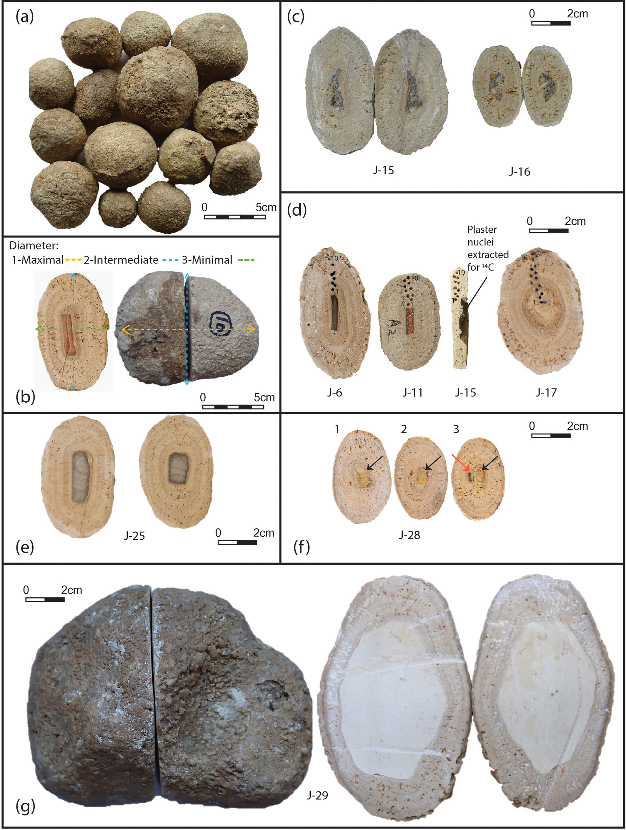 �о��״��ڹ�Ү·�����������ֺ��п�������Ķ�Ѩ����