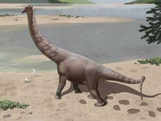 �й�ѧ���쵼�Ĺ����о����ֺ�������������������㼣