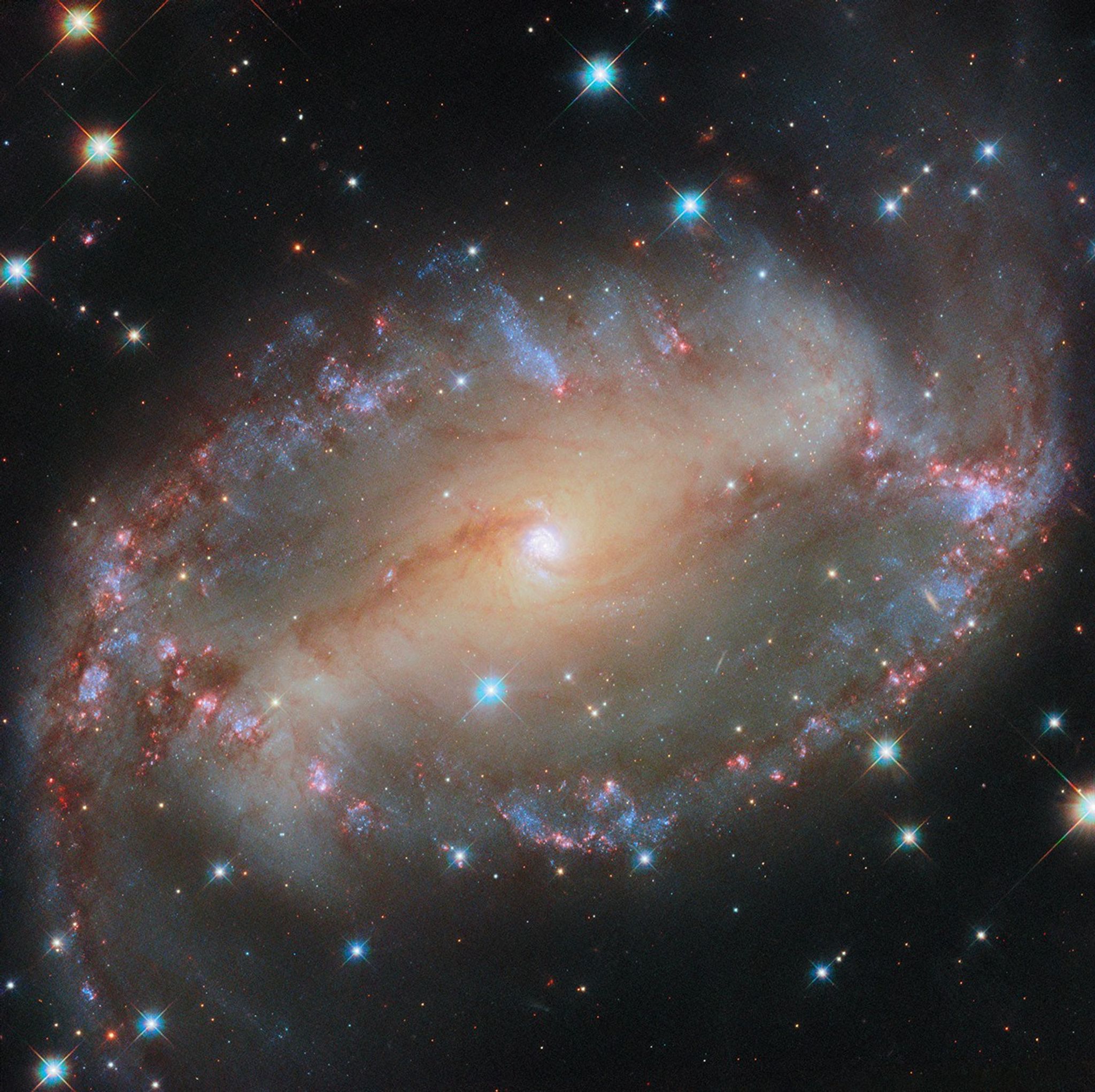 Զۣ֮̽ϵNGC 2566