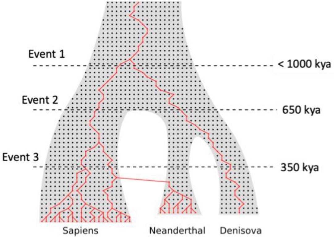 �ִ��͹Ŵ�����Ļ�����֮�ÿ��ܱ����������Ҫ����