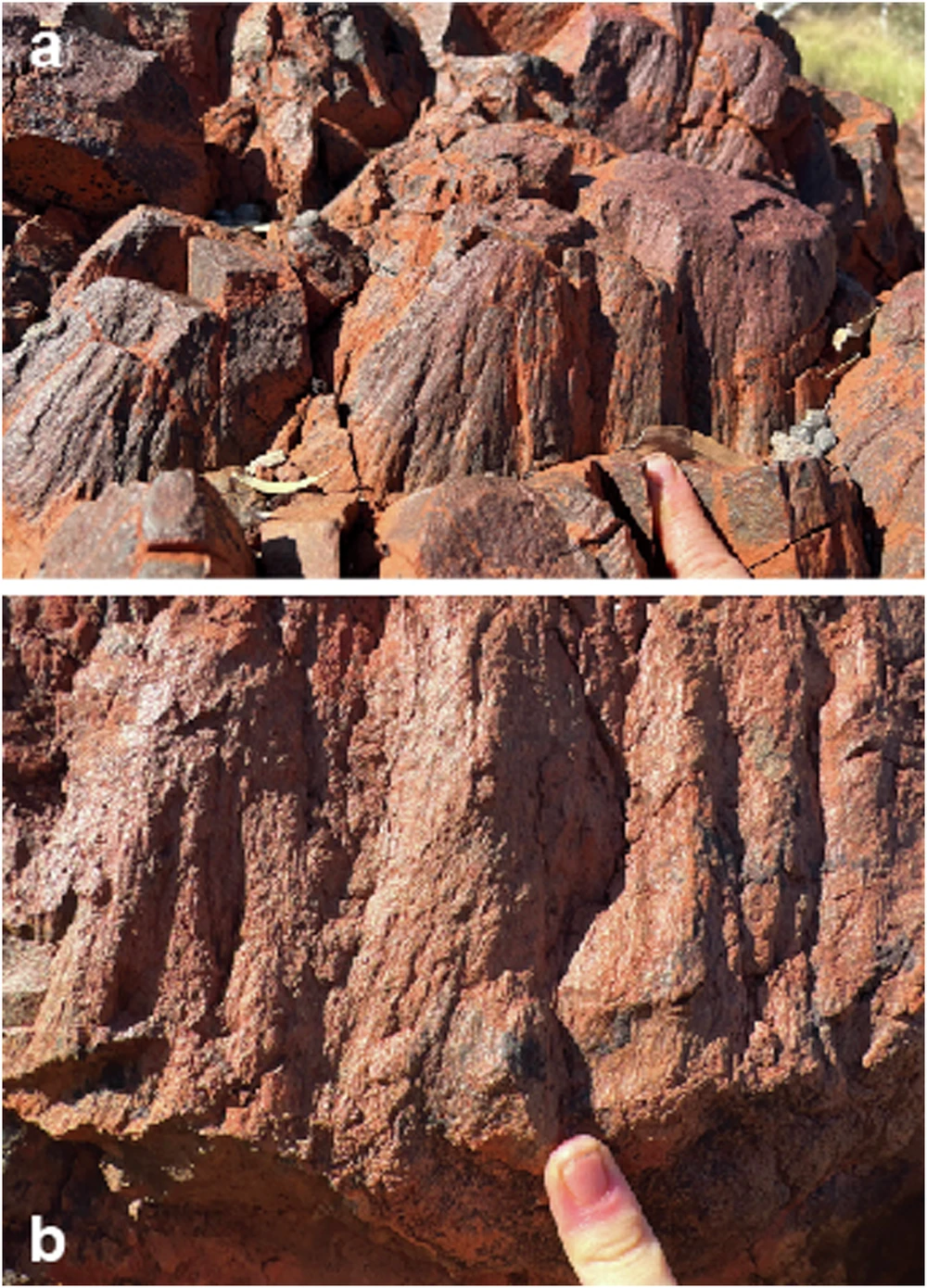 ����������ϵ�ײ���Ӹո��ڰĴ����Ǳ����֣������ǵ���ѧ����ϣ���ĵط�