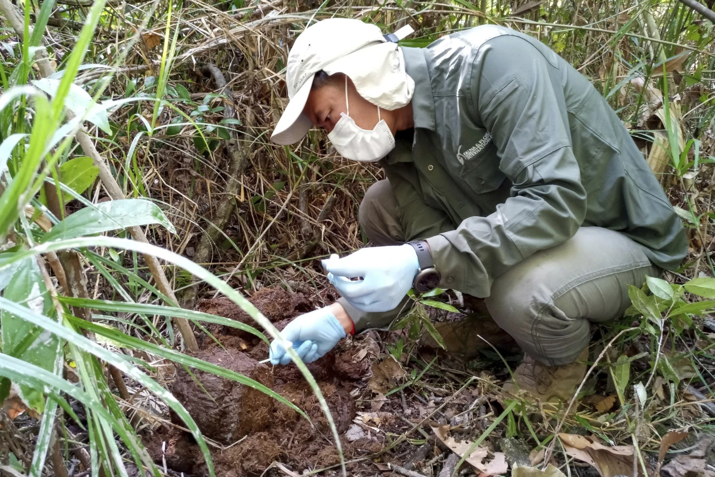 �о�����������կ��Σ���������������ǰ�����Ҫ��