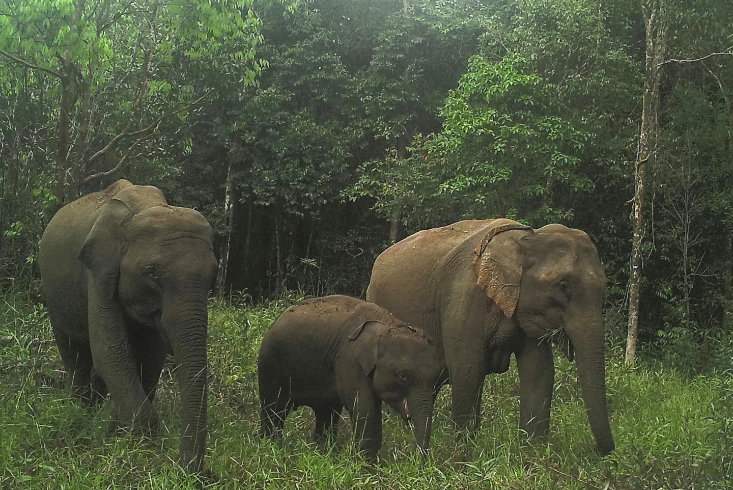 �о�����������կ��Σ���������������ǰ�����Ҫ��