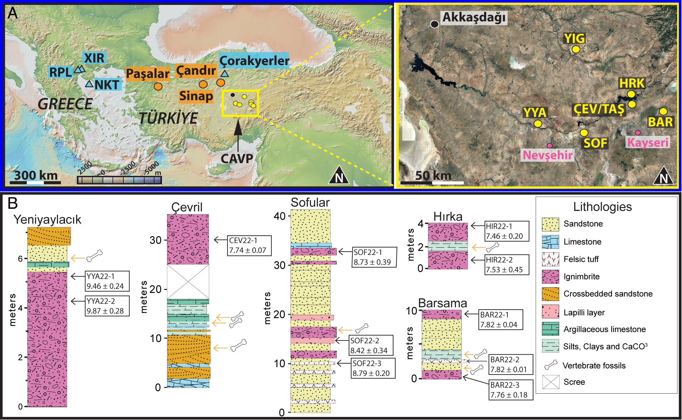 �·��ֵĻ�ʯ��ַ�ķ�����ͬλ������Ϊ���鶯��Ľ����ṩ������