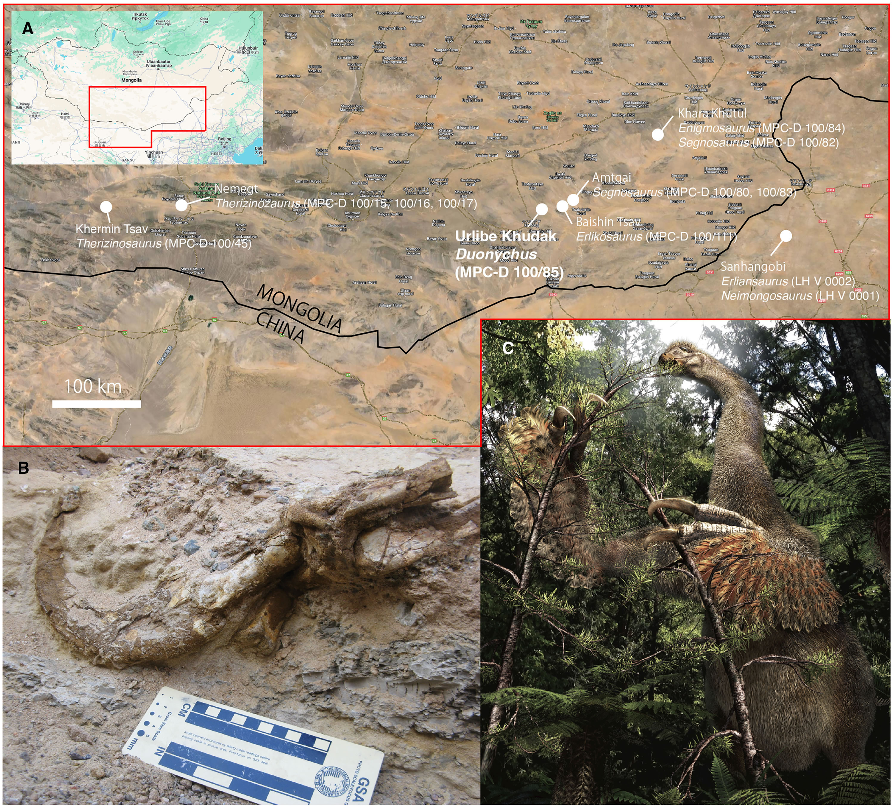 �ɹų����ľ�צ����һ���µ�˫ָ��������������