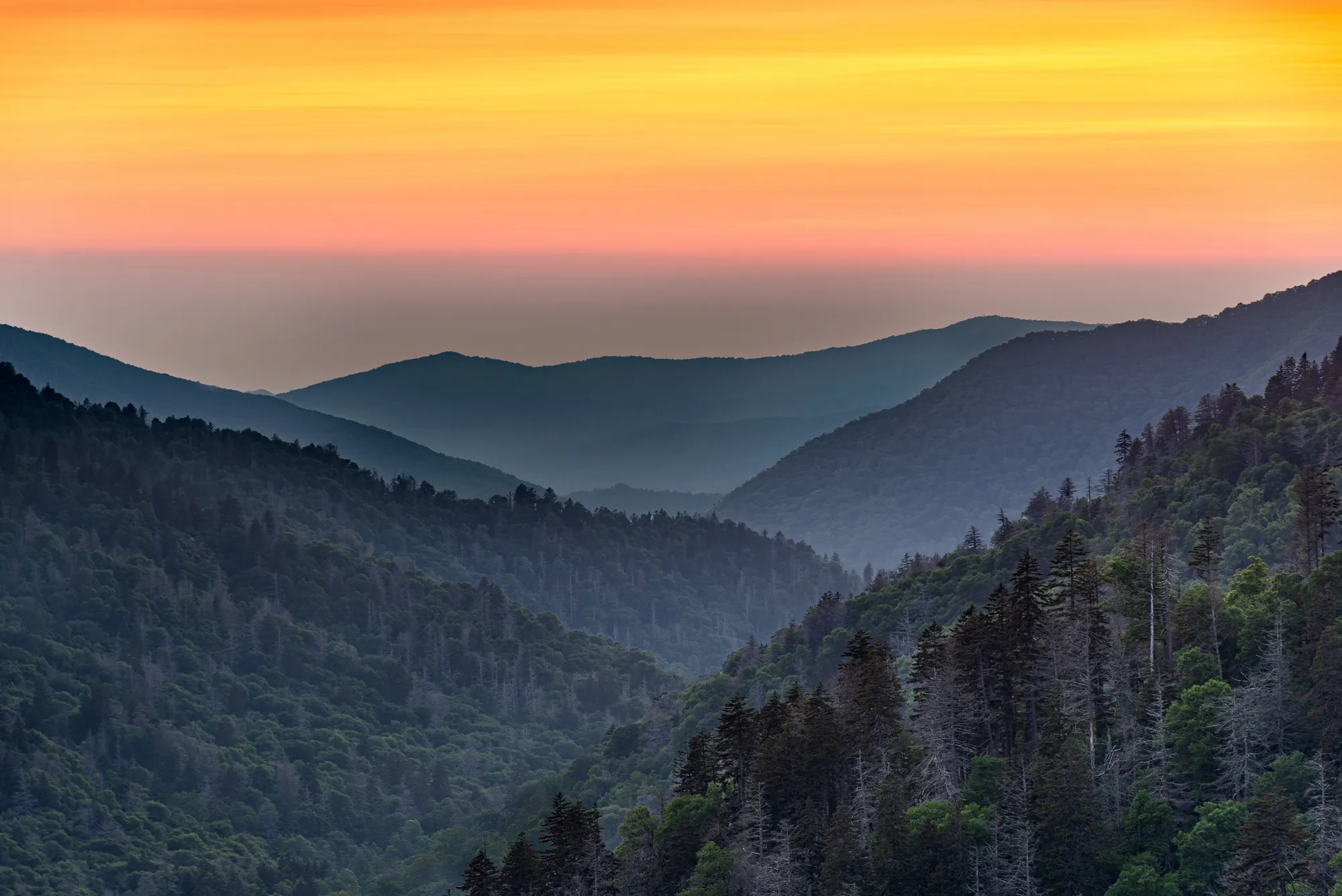 地球历史上的5次灾难性大灭绝