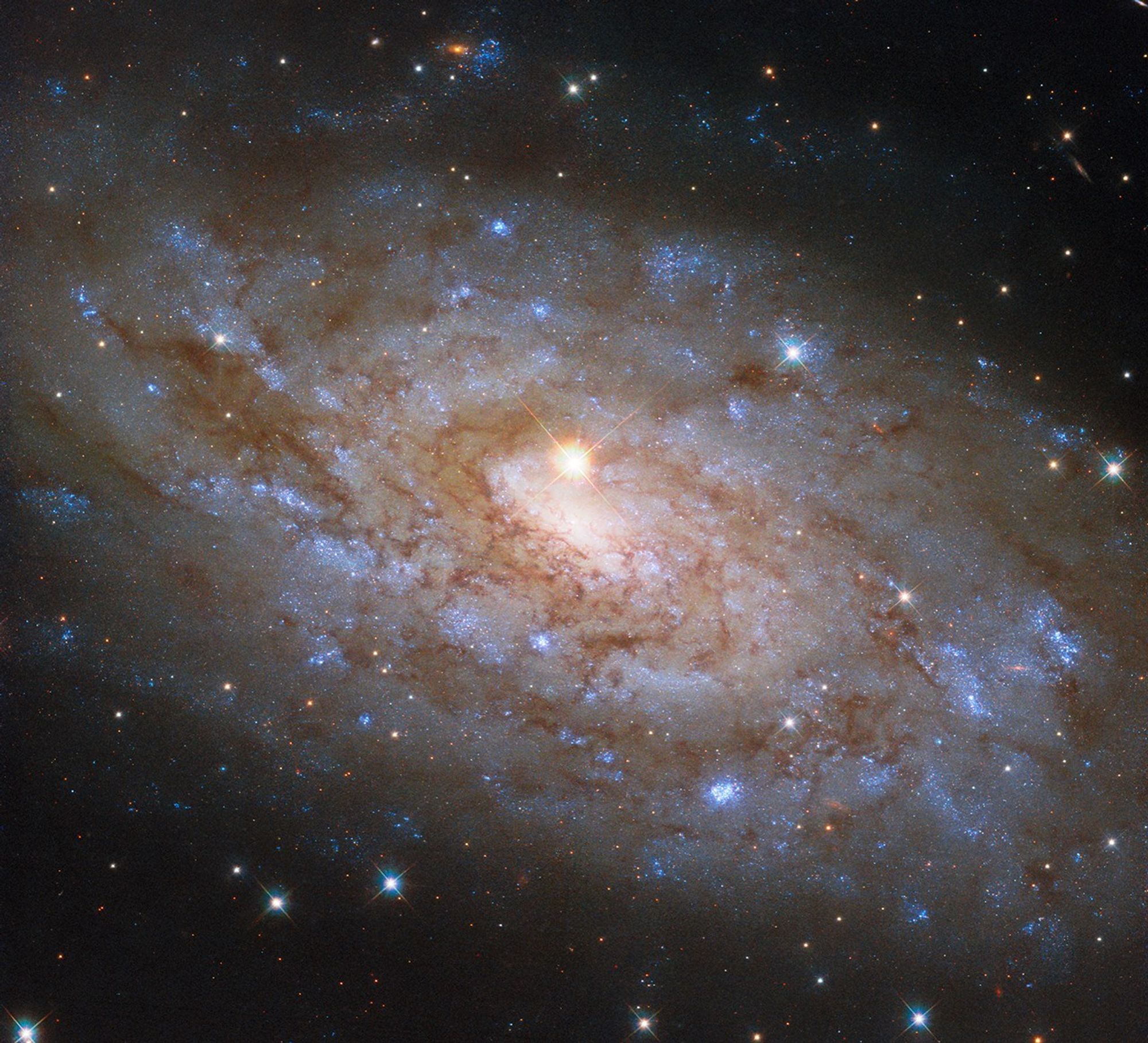������Զ������������ϵNGC 5530