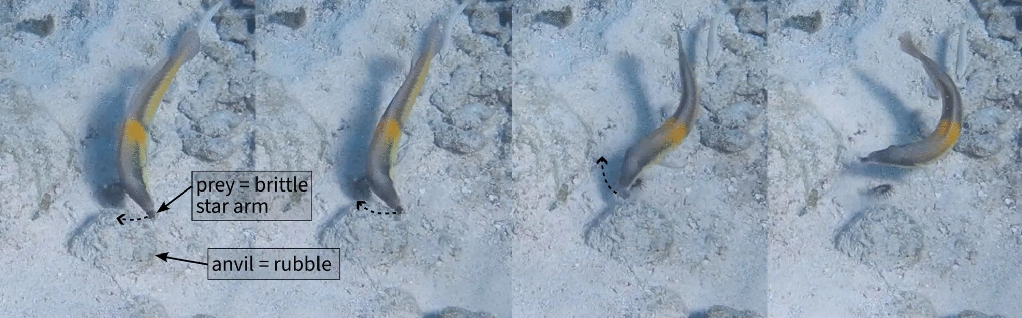 �о���ʾ�ȴ�����ʹ�ù���