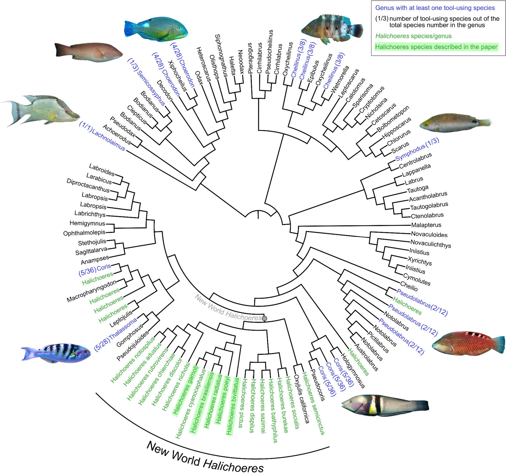 �о���ʾ�ȴ�����ʹ�ù���